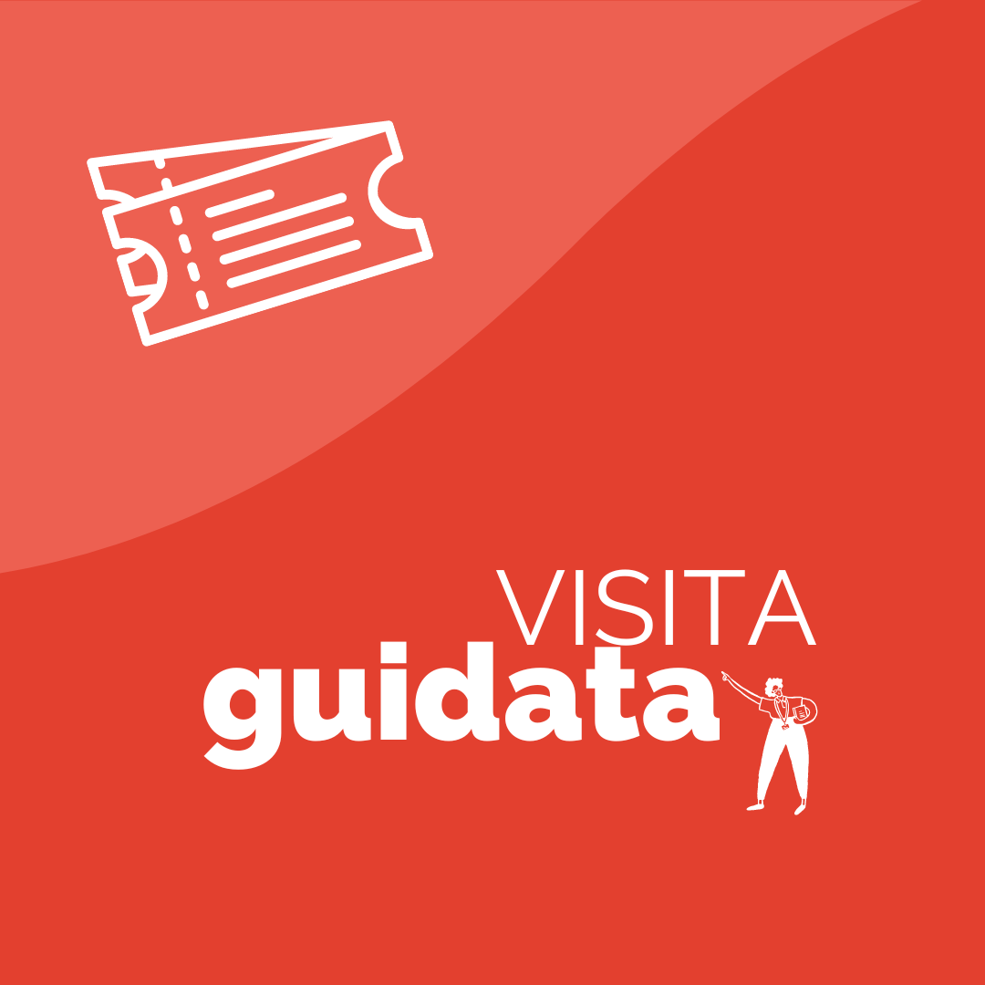 Visita guidata del Museo + casa Nuto