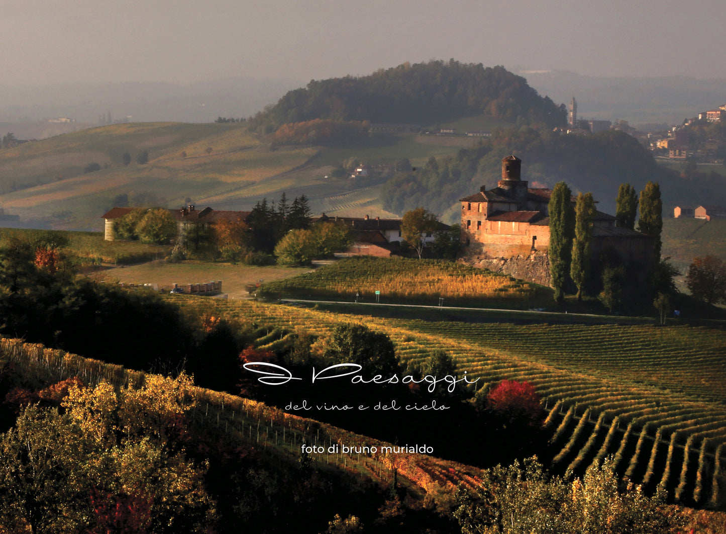 I paesaggi del vino e del cielo